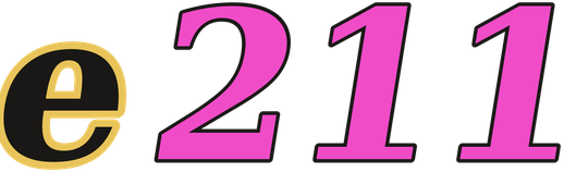 e211 logo